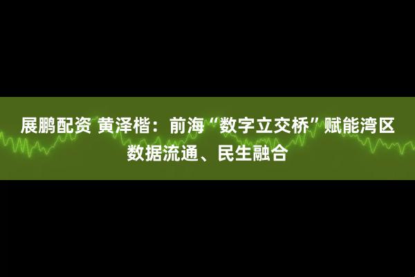 展鹏配资 黄泽楷：前海“数字立交桥”赋能湾区数据流通、民生融合